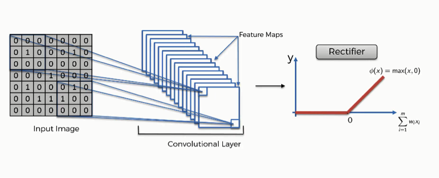 The ReLU layer of a convolutional neural network